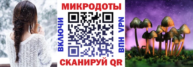Псилоцибиновые грибы Psilocybe  Чкаловск 